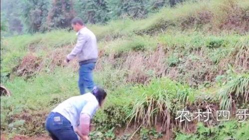 最新爆料农村四哥 第3张 最新爆料农村四哥 第3张